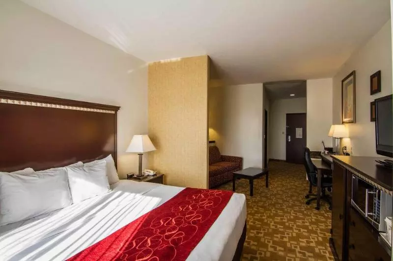 Fotos del hotel Comfort Suites West Dallascockrell Hill:  6
