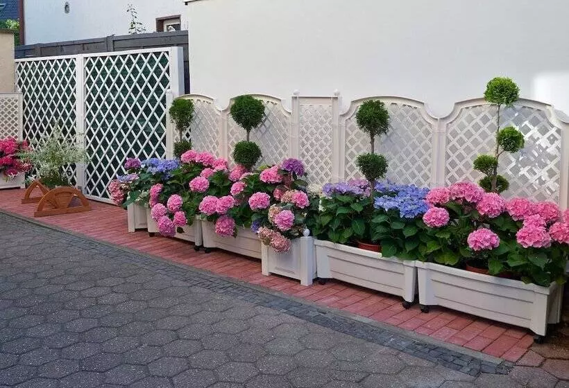 Fotos del hotel Haus Mooren, Hotel Garni:  10