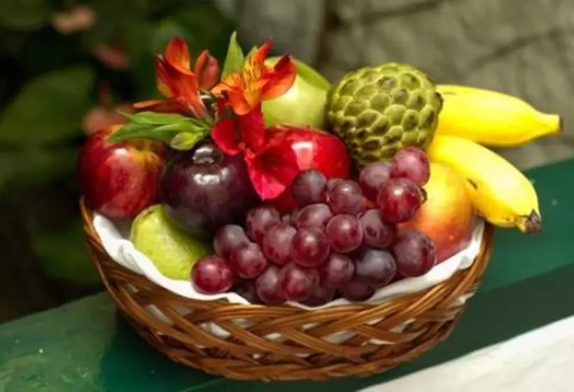 Fotos del hotel Pousada Do Ouro:  20