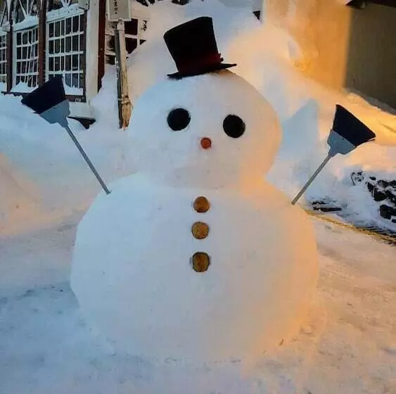 Fotos del hotel Shiga Palace:  19