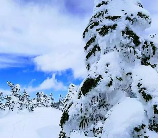 Fotos del hotel Shiga Palace:  10