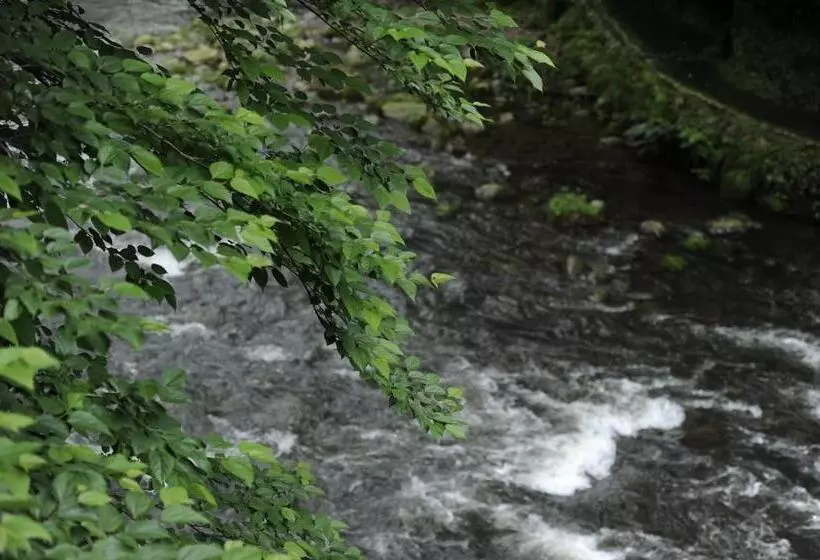 Fotos del hotel Shirasagiyu Tawaraya:  12