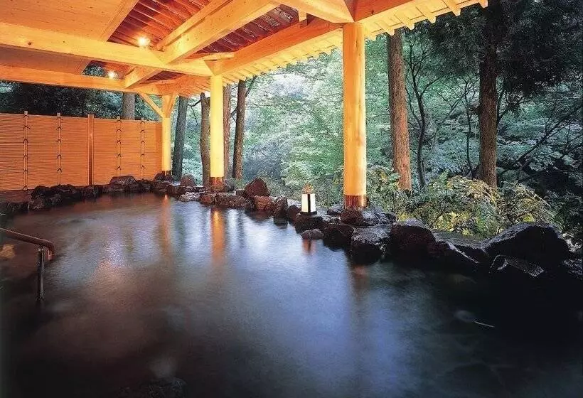 Fotos del hotel Shirasagiyu Tawaraya:  10