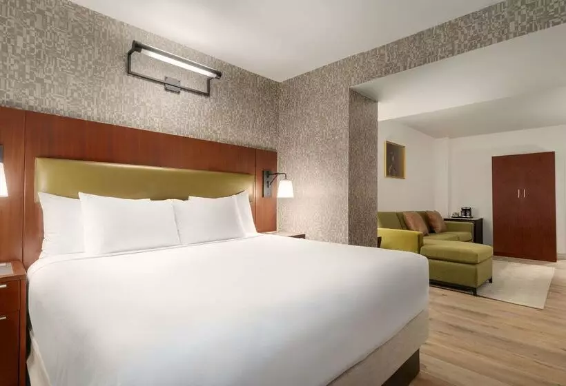 Fotos del hotel Doubletree By Hilton New York Downtown:  8