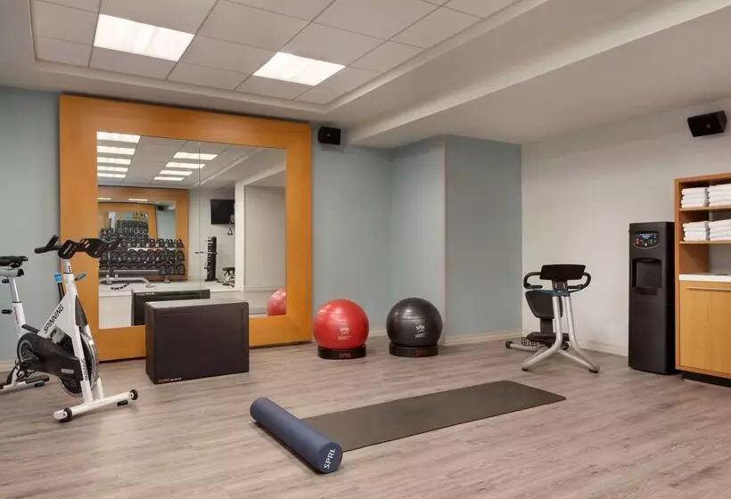 Fotos del hotel Doubletree By Hilton New York Downtown:  13