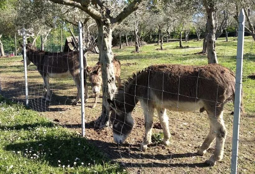 Fotos del hotel Garden Village San Marino:  5