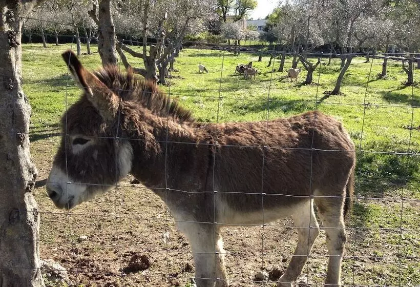 Fotos del hotel Garden Village San Marino:  7