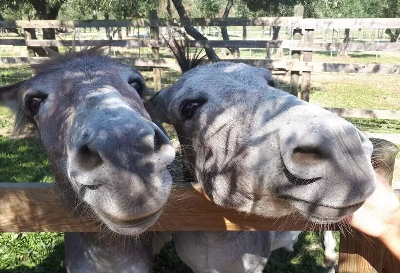 Fotos del hotel Garden Village San Marino:  13