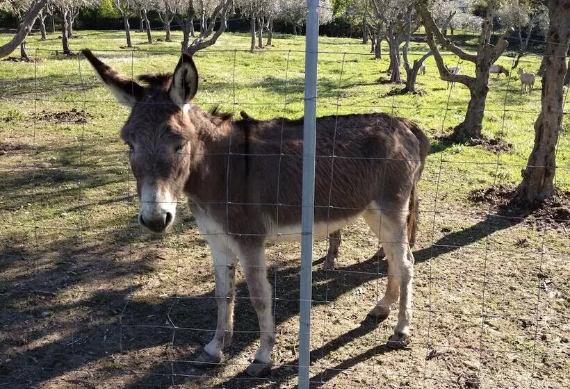 Fotos del hotel Garden Village San Marino:  9