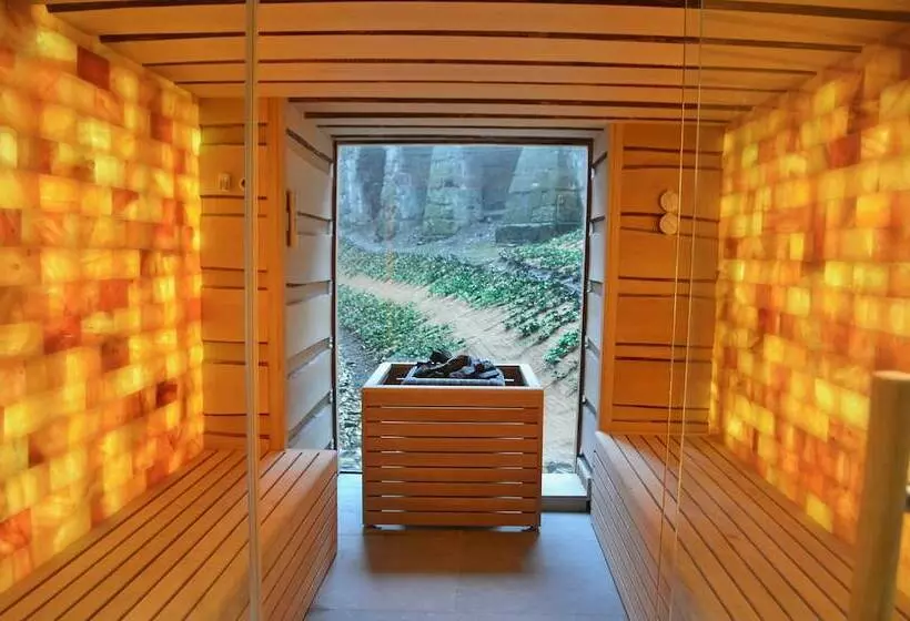 Fotos del hotel Van Der Valk Sélys Liège  & Spa:  10