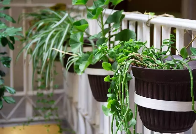 Fotos del hotel Pequeno Gran:  9