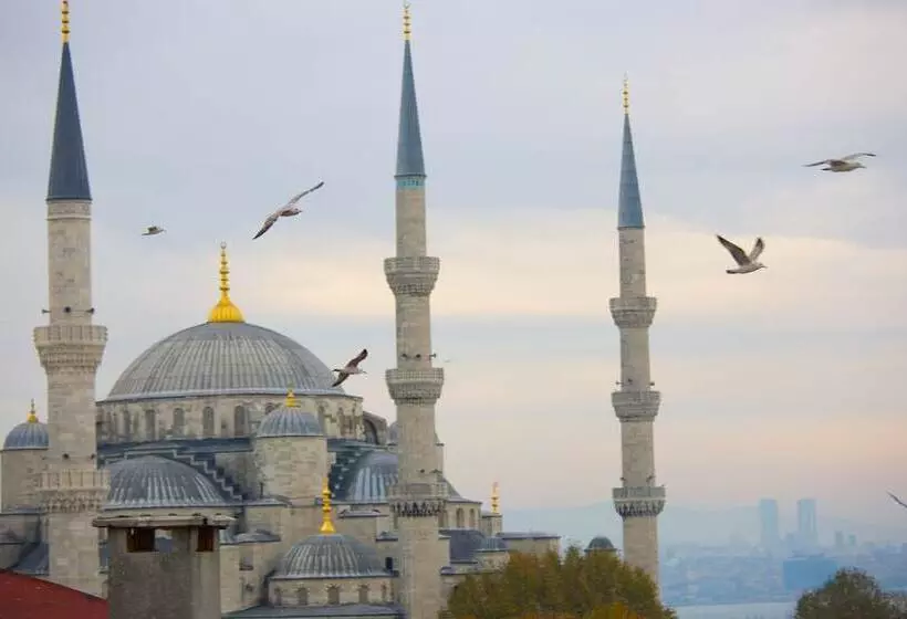 Fotos del hotel Perula:  19