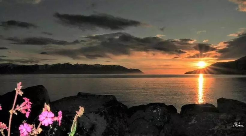 Fotos del hotel Grenivík Guesthouse:  5