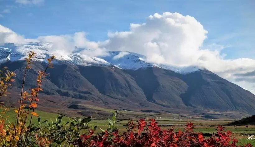 Fotos del hotel Grenivík Guesthouse:  14