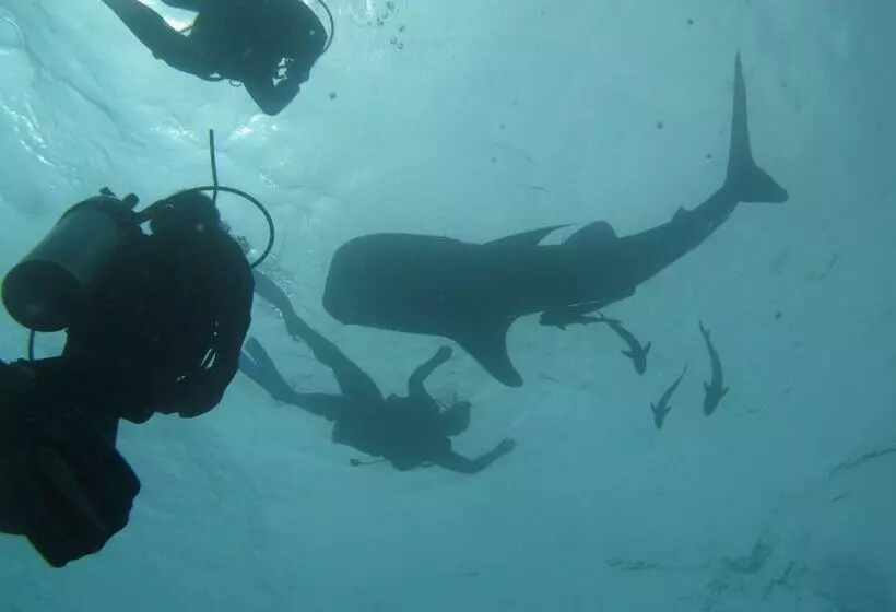 Fotos del hotel Koh Tao Bamboo Huts:  8