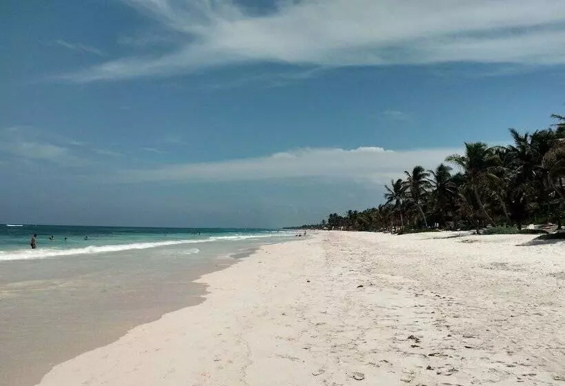 Fotos del hotel Cabañas Tulum Beach  & Spa:  5