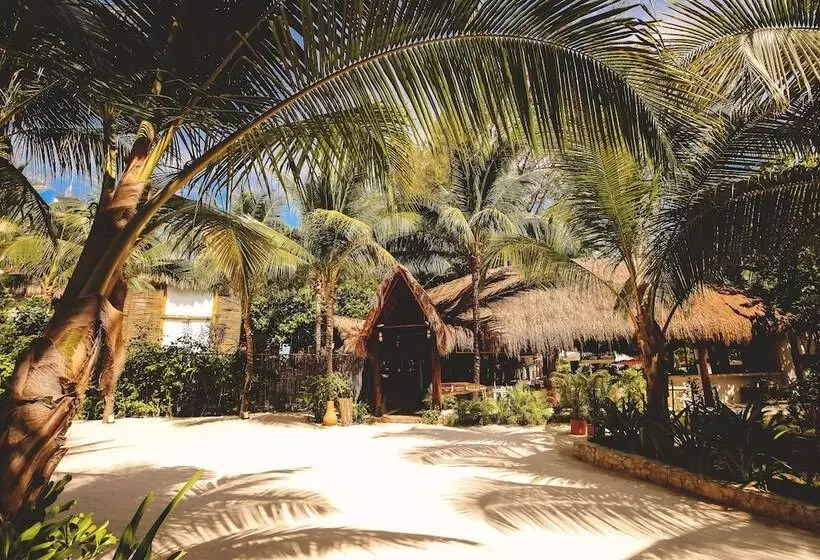 Fotos del hotel Cabañas Tulum Beach  & Spa:  20