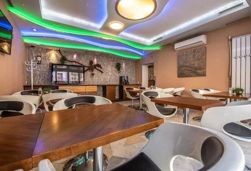 Fotos del hotel Danubia Gate:  15