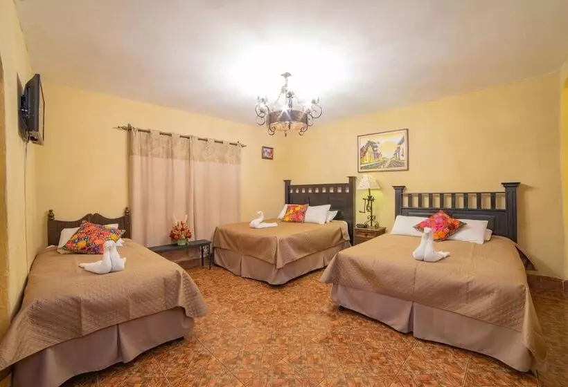 Fotos del hotel Gran Plaza Euromaya:  15