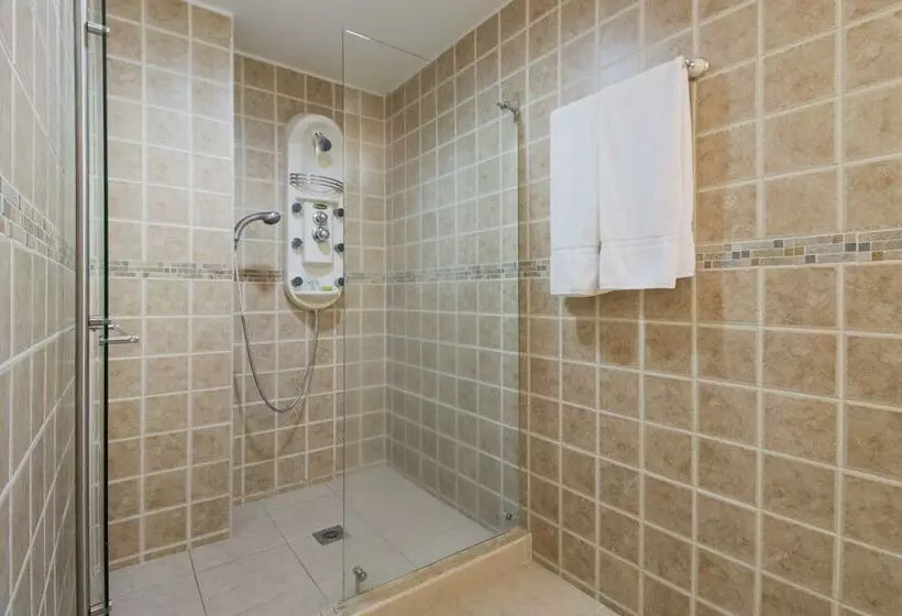 Fotos del hotel Luxor Plaza Hotel:  20