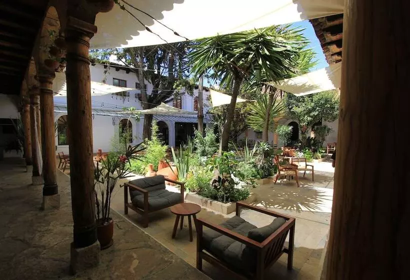 Fotos del hotel Sombra Del Agua:  5