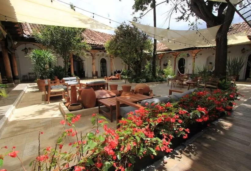 Fotos del hotel Sombra Del Agua:  18