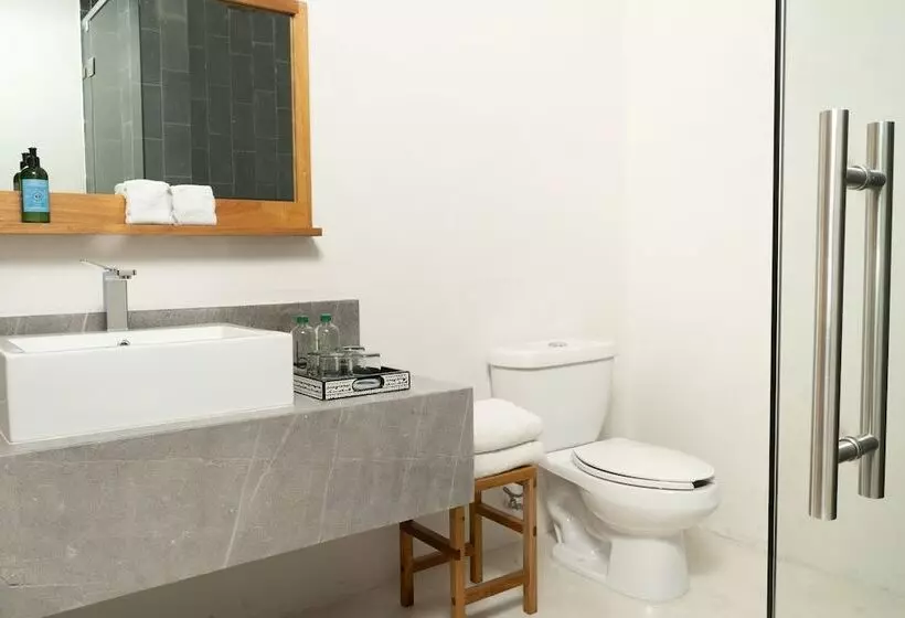 Fotos del hotel Sombra Del Agua:  6