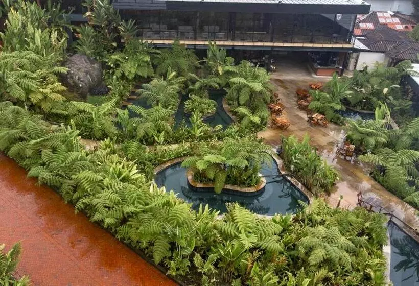 Fotos del hotel Termales El Otoño:  13