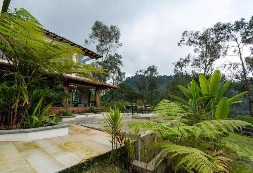 Fotos del hotel Termales El Otoño:  5