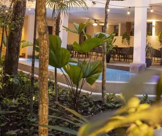Fotos del hotel Kasa  Kuyen:  5
