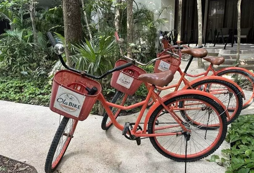 Fotos del hotel Kasa  Kuyen:  13