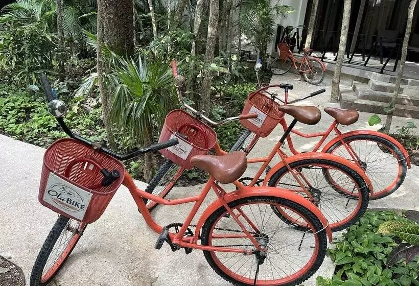 Fotos del hotel Kasa  Kuyen:  23