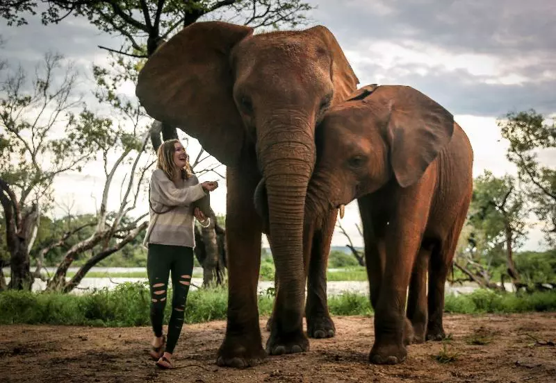 Fotos del hotel Victoria Falls Waterfront:  13