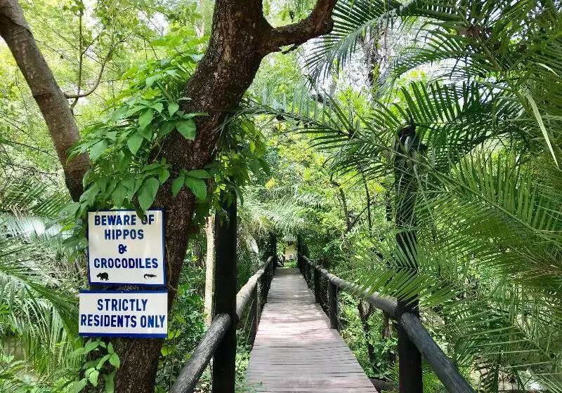 Fotos del hotel Victoria Falls Waterfront:  24