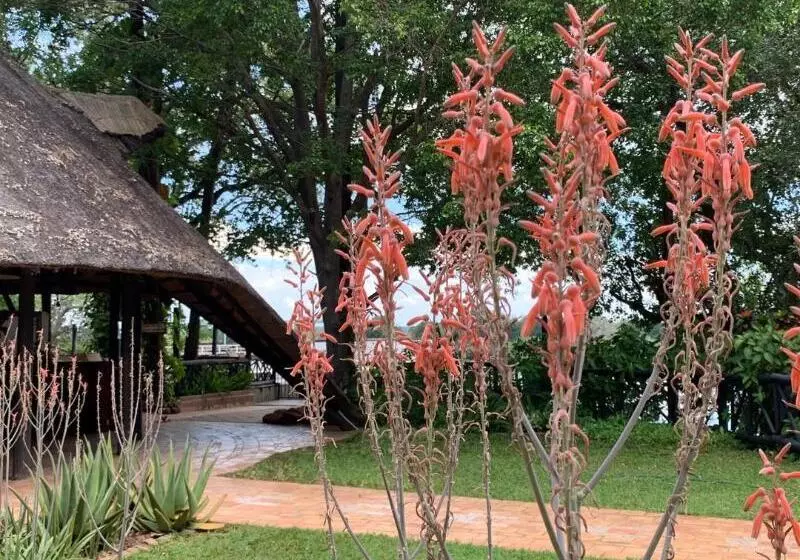 Fotos del hotel Victoria Falls Waterfront:  19