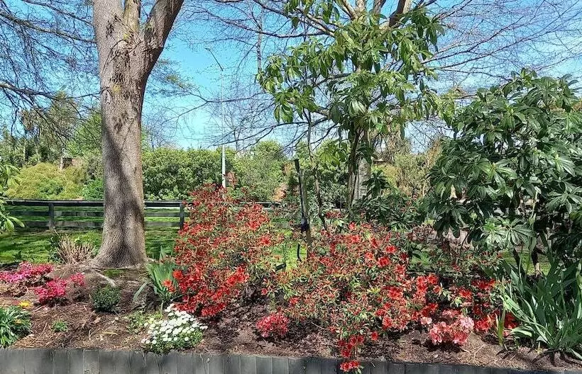 Fotos del hotel Chardonnay Motor Lodge:  25