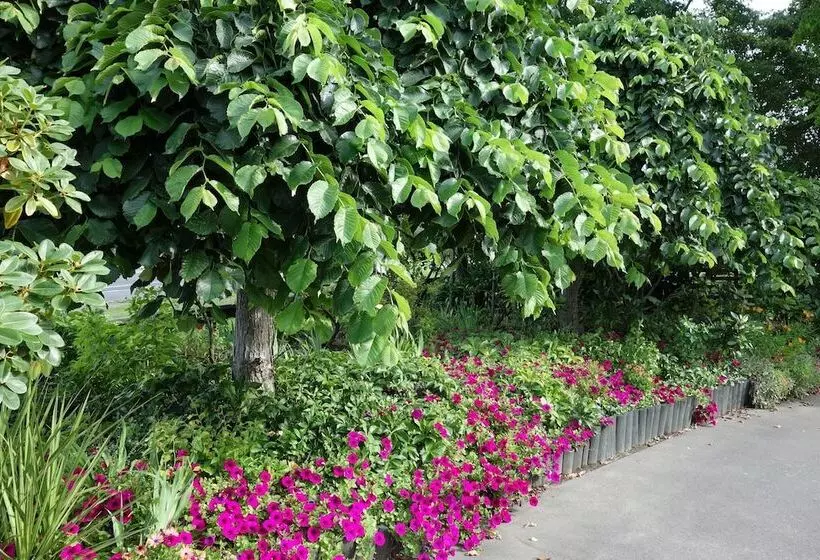 Fotos del hotel Chardonnay Motor Lodge:  9