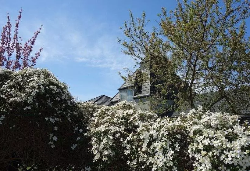 Fotos del hotel Chardonnay Motor Lodge:  13