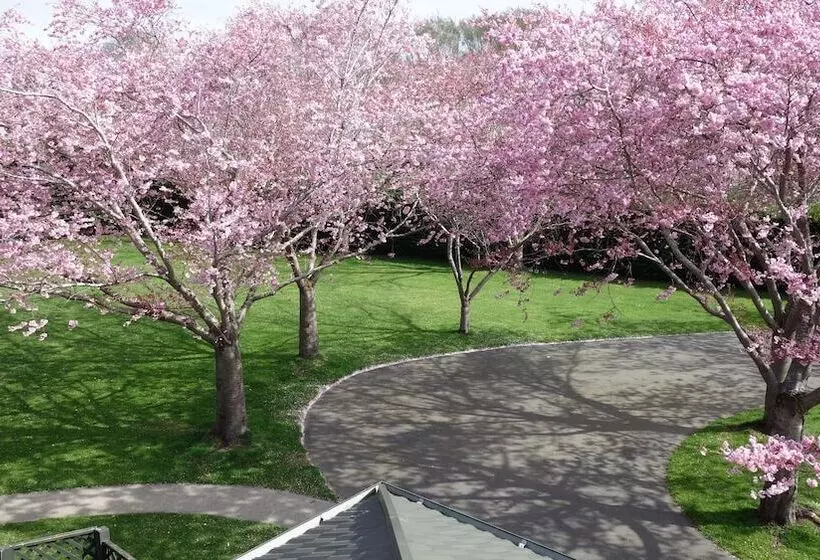 Fotos del hotel Chardonnay Motor Lodge:  20