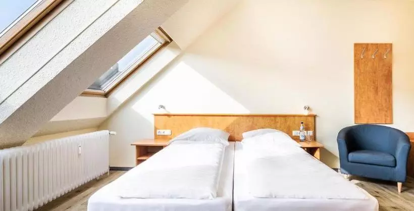 Fotos del hotel Schroeders City-style-:  13