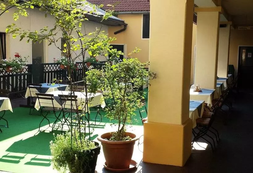 Fotos del hotel Guesthouse Stari Tišler:  5