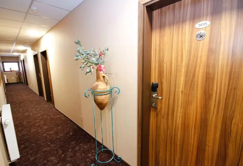 Fotos del hotel Max Inn:  8