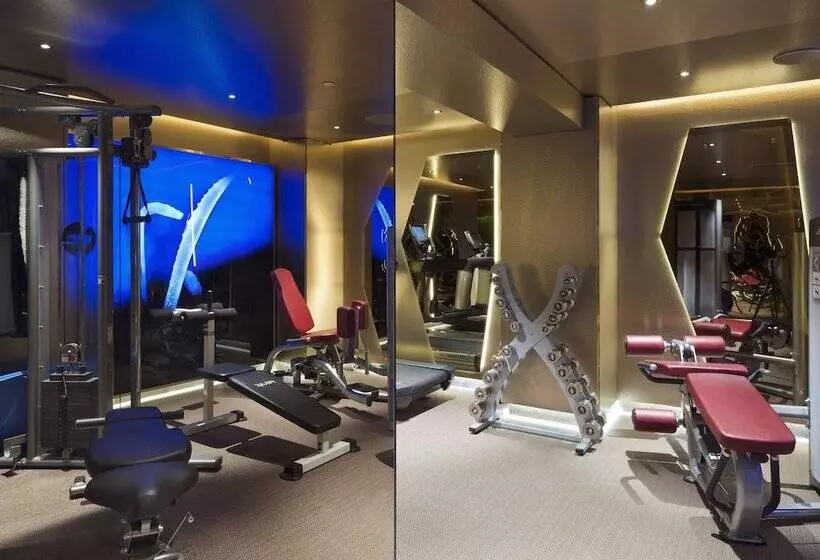 Fotos del hotel New:  11