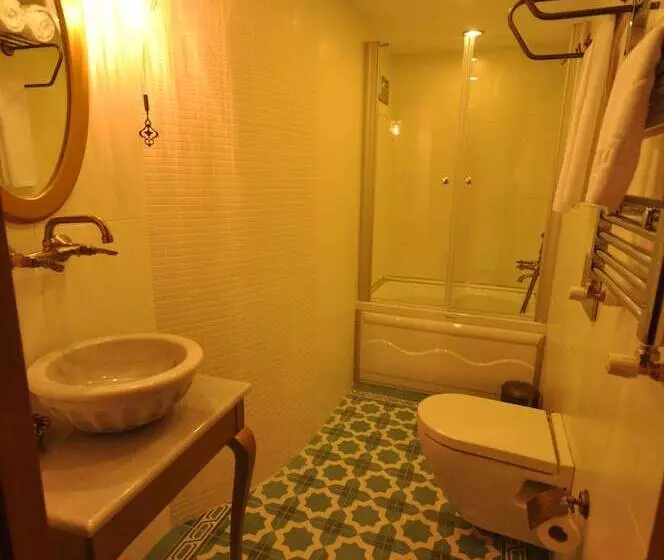 Fotos del hotel Merial:  18