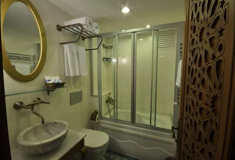 Fotos del hotel Merial:  3