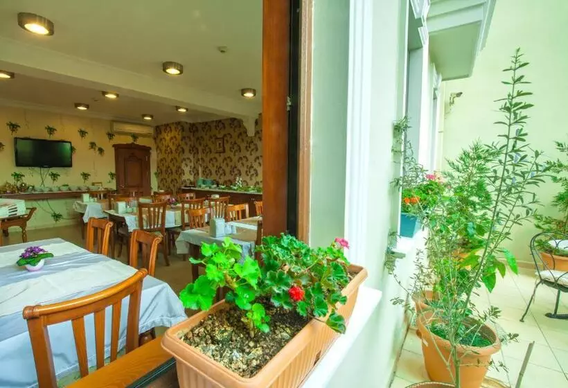 Fotos del hotel Saba Sultan:  16