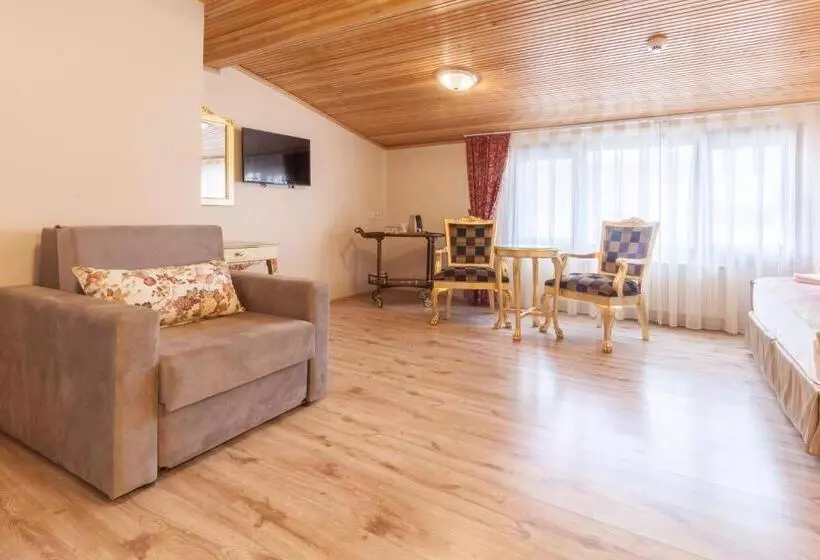 Fotos del hotel Saba Sultan:  23