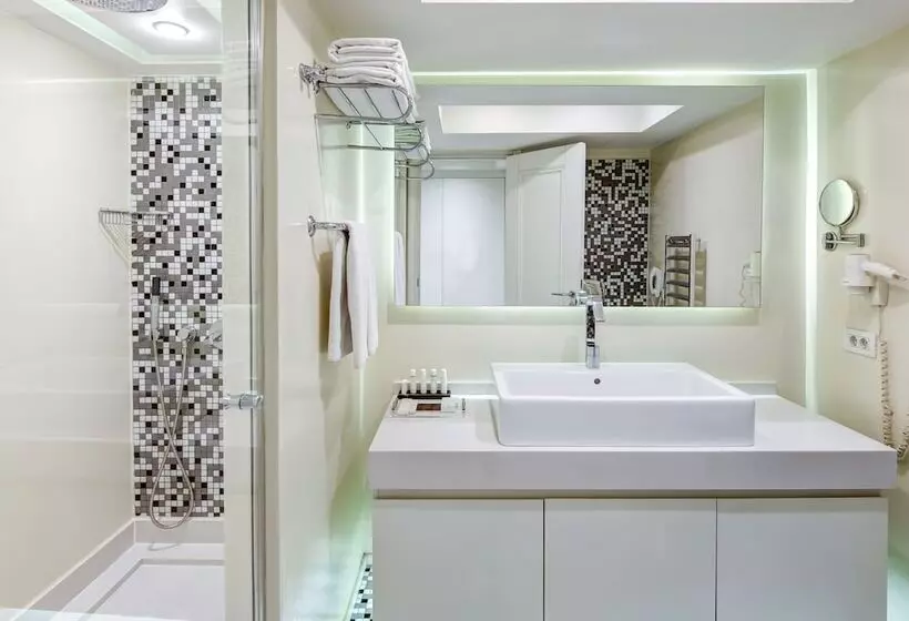 Fotos del hotel The Elysium Taksim:  11