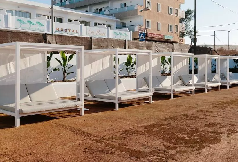 Fotos del hotel Aluasoul Ibiza - Adults Only:  6