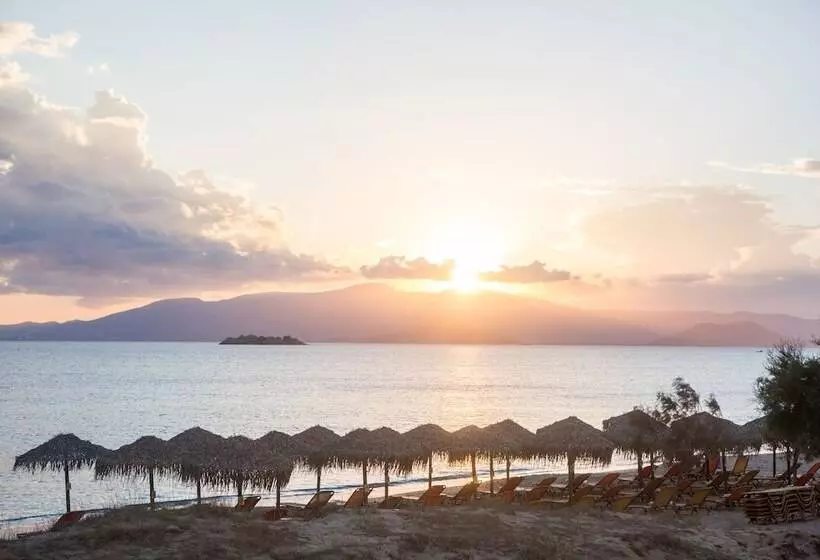 Fotos del hotel Plaza Beach Hotel:  16